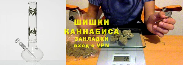 PSILOCYBIN Верхний Тагил